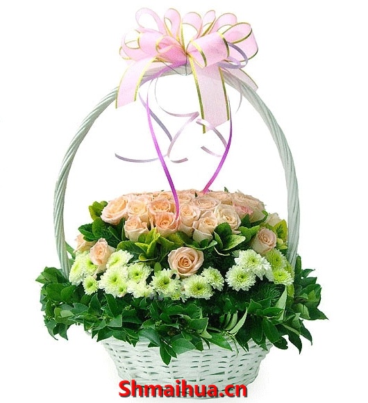 春天花园-香槟玫瑰36朵，白色小菊外围，绿叶衬托,带柄手机工艺花篮圆型插花
